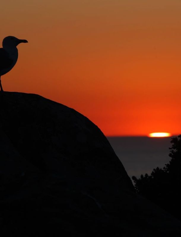 islas-cies-puesta-de-sol