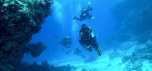 scuba diving in the Cíes Islands National Maritime Terrestrial Park