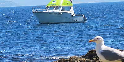 viajar a la playa de Rodas