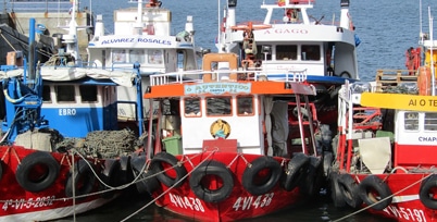 Turismo: Porto de Barcos das Rias Baixas, Vigo (Galiza)