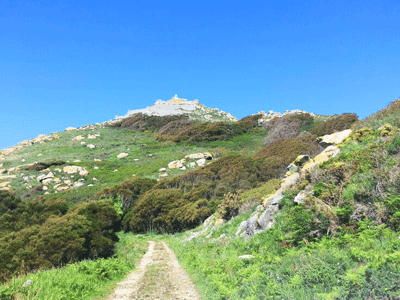 hiking Ruta Faro Porta in Cíes Nabia