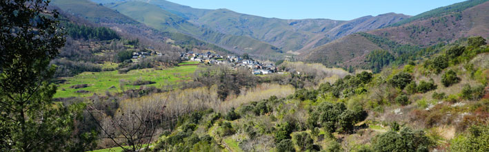 Serra da Enciña da Lastra Natural Park (Ourense).